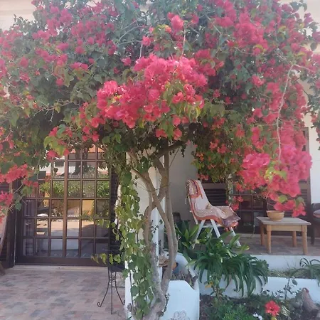 Casa 19 * Αλμπουφέιρα