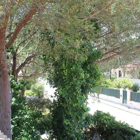 Casa 19 Quarto em Acomodações Particulares Albufeira