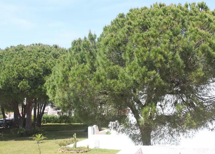 Casa 19 Homestay szállás *