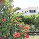 Casa 19 ホームステイ *