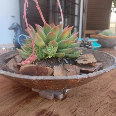 Casa 19 홈스테이